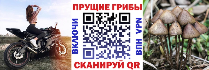 наркота  MEGA вход  Псилоцибиновые грибы прущие грибы  Окуловка 